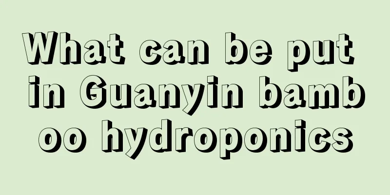 What can be put in Guanyin bamboo hydroponics