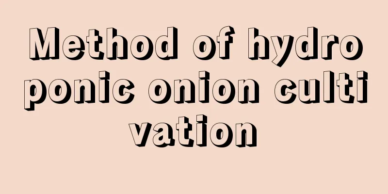 Method of hydroponic onion cultivation