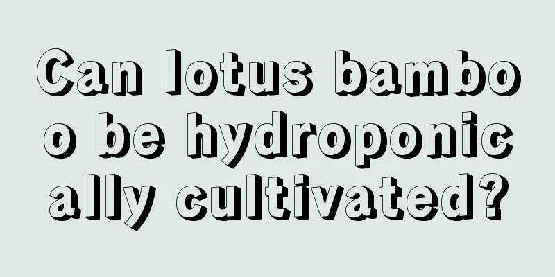 Can lotus bamboo be hydroponically cultivated?