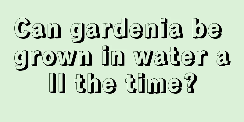 Can gardenia be grown in water all the time?