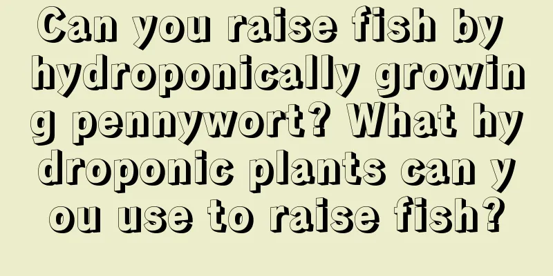 Can you raise fish by hydroponically growing pennywort? What hydroponic plants can you use to raise fish?