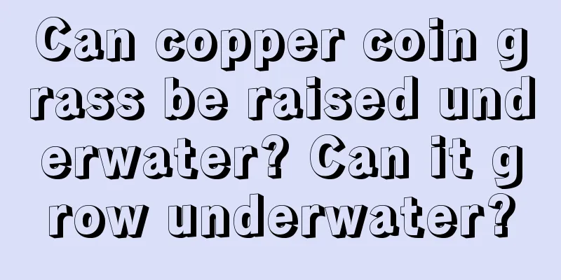 Can copper coin grass be raised underwater? Can it grow underwater?