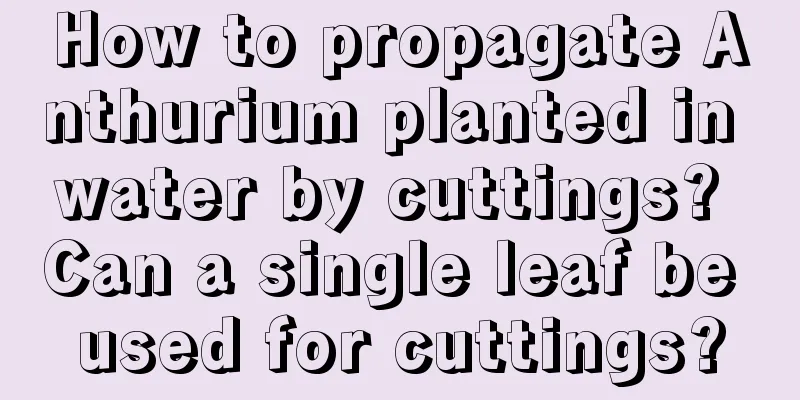 How to propagate Anthurium planted in water by cuttings? Can a single leaf be used for cuttings?