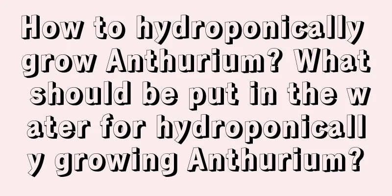 How to hydroponically grow Anthurium? What should be put in the water for hydroponically growing Anthurium?