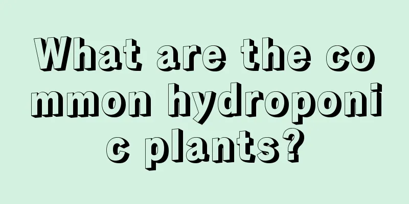 What are the common hydroponic plants?