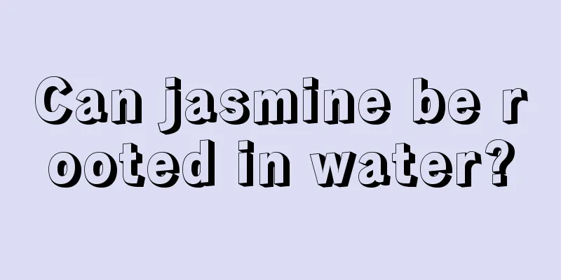 Can jasmine be rooted in water?