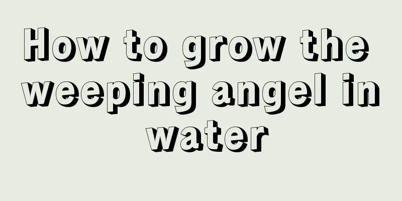 How to grow the weeping angel in water