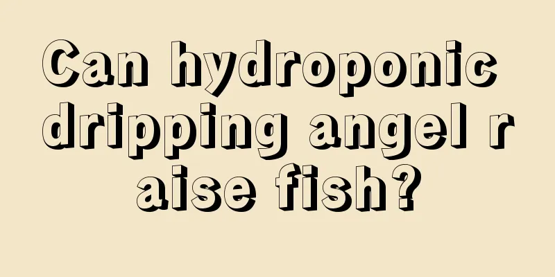 Can hydroponic dripping angel raise fish?