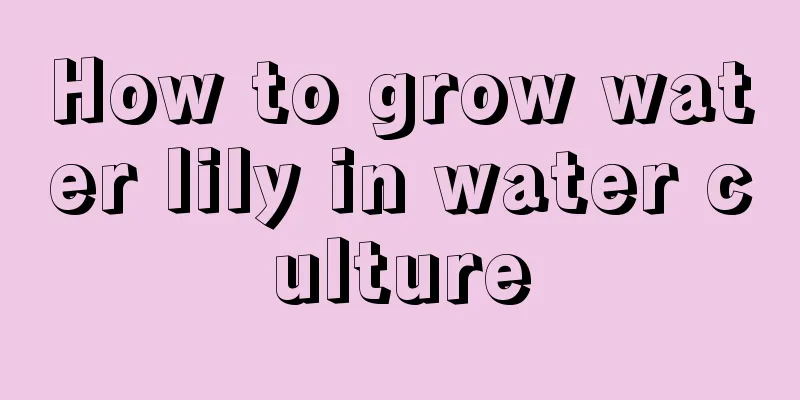 How to grow water lily in water culture