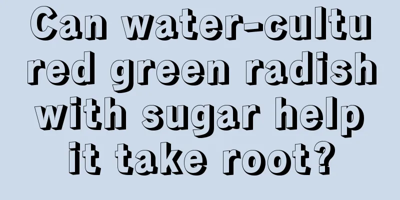 Can water-cultured green radish with sugar help it take root?