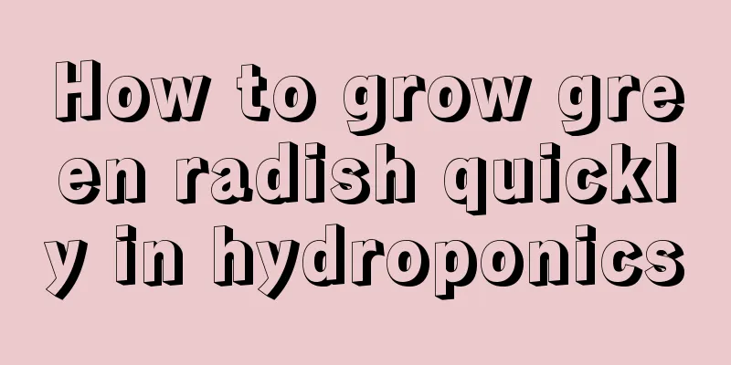 How to grow green radish quickly in hydroponics