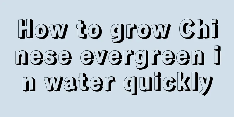 How to grow Chinese evergreen in water quickly