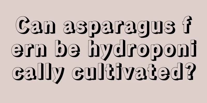 Can asparagus fern be hydroponically cultivated?