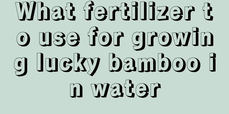 What fertilizer to use for growing lucky bamboo in water