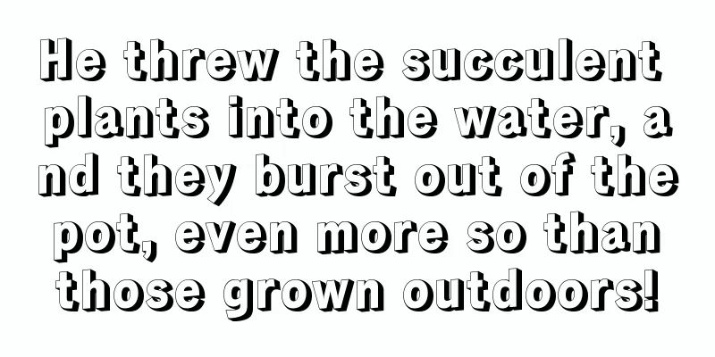 He threw the succulent plants into the water, and they burst out of the pot, even more so than those grown outdoors!