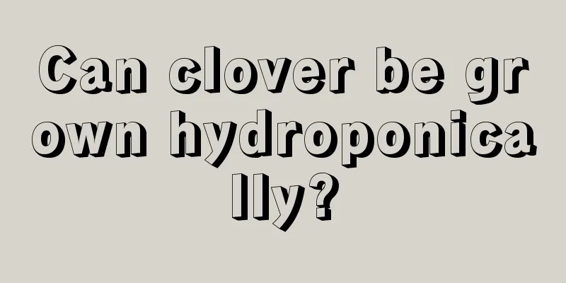 Can clover be grown hydroponically?