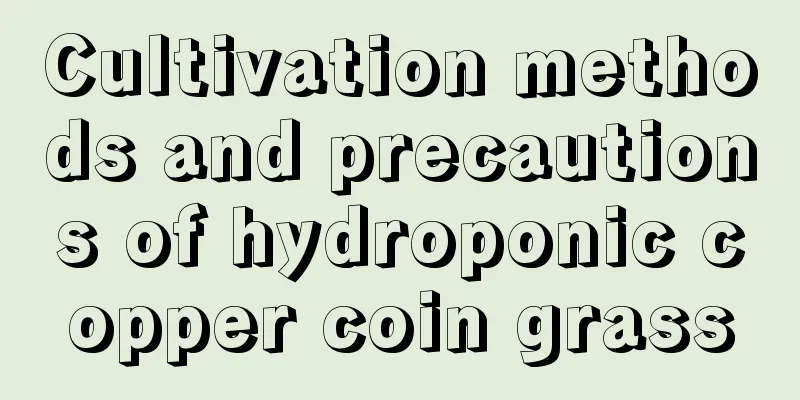 Cultivation methods and precautions of hydroponic copper coin grass