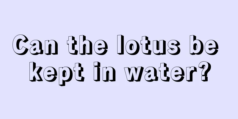 Can the lotus be kept in water?