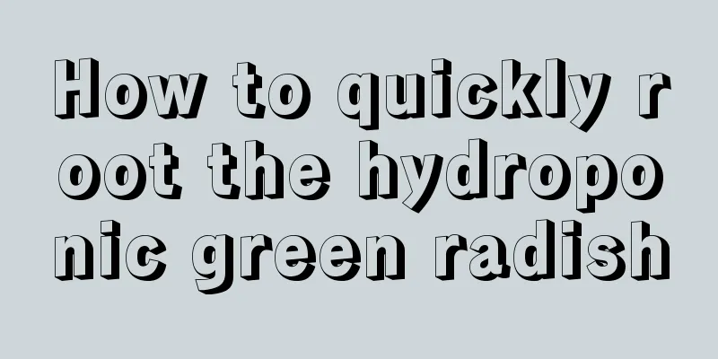 How to quickly root the hydroponic green radish