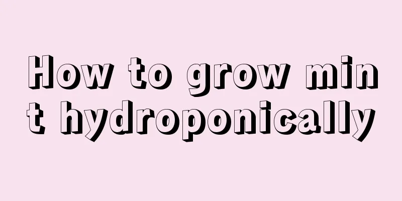 How to grow mint hydroponically