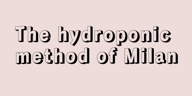 The hydroponic method of Milan