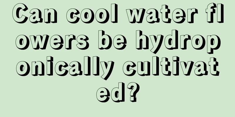 Can cool water flowers be hydroponically cultivated?