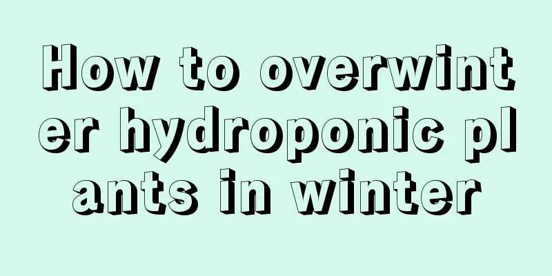 How to overwinter hydroponic plants in winter