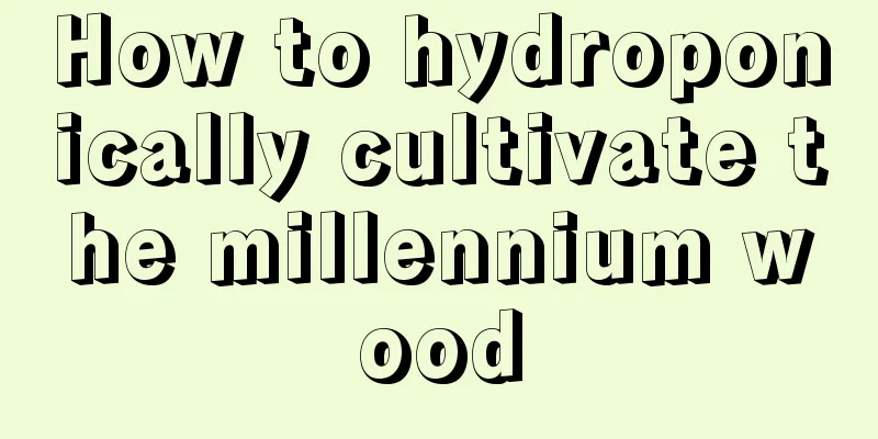 How to hydroponically cultivate the millennium wood