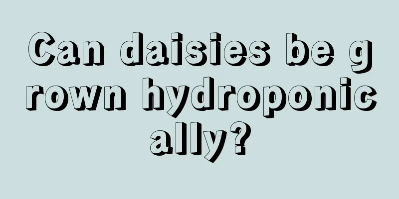 Can daisies be grown hydroponically?