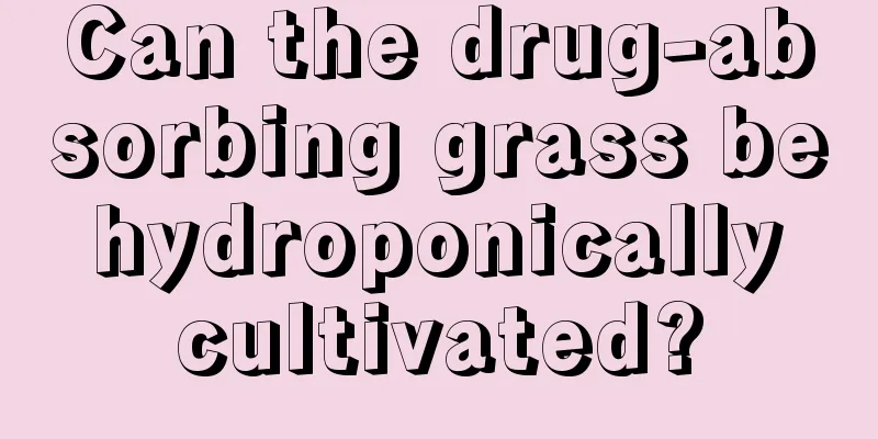 Can the drug-absorbing grass be hydroponically cultivated?