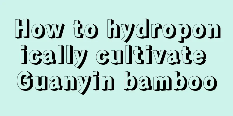 How to hydroponically cultivate Guanyin bamboo