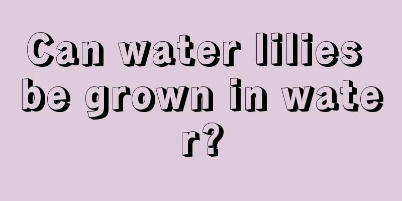 Can water lilies be grown in water?