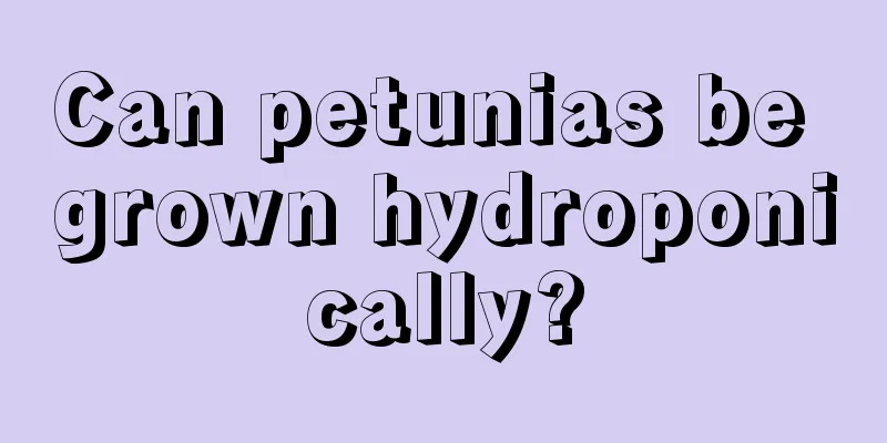 Can petunias be grown hydroponically?