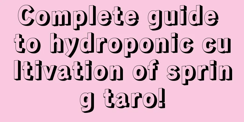 Complete guide to hydroponic cultivation of spring taro!