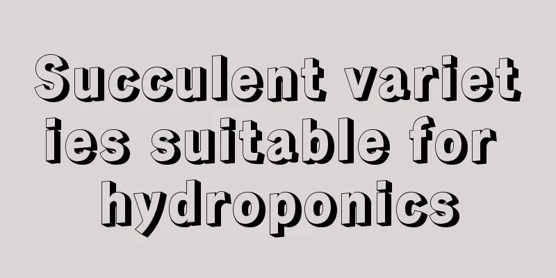 Succulent varieties suitable for hydroponics