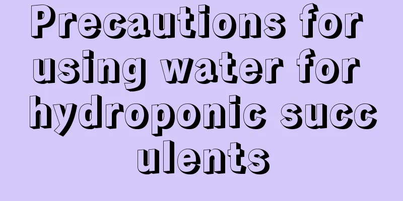 Precautions for using water for hydroponic succulents