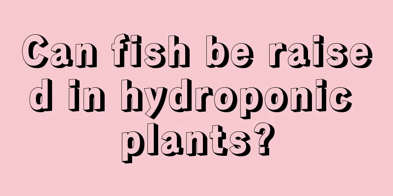 Can fish be raised in hydroponic plants?