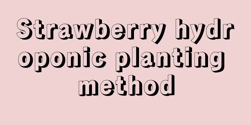 Strawberry hydroponic planting method