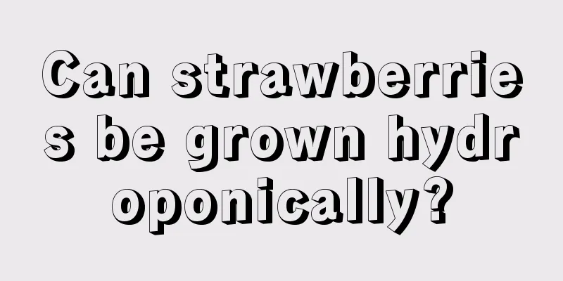 Can strawberries be grown hydroponically?