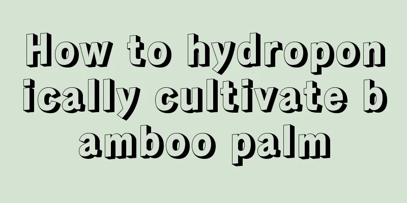 How to hydroponically cultivate bamboo palm