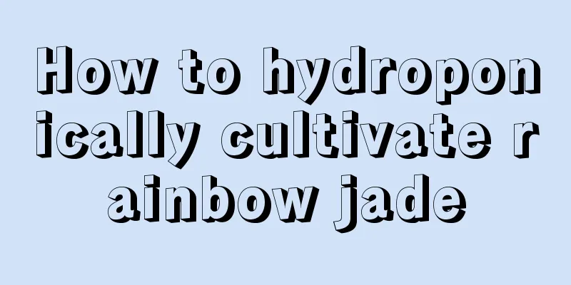 How to hydroponically cultivate rainbow jade