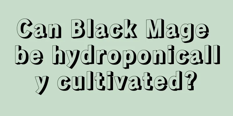 Can Black Mage be hydroponically cultivated?