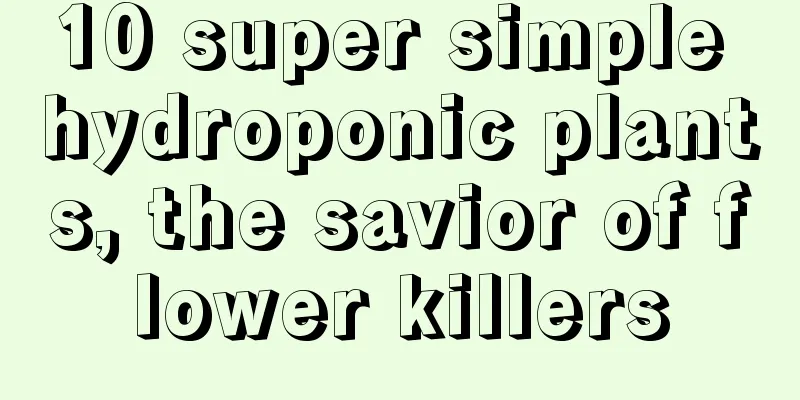 10 super simple hydroponic plants, the savior of flower killers