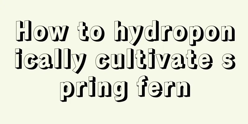 How to hydroponically cultivate spring fern