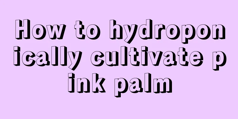 How to hydroponically cultivate pink palm