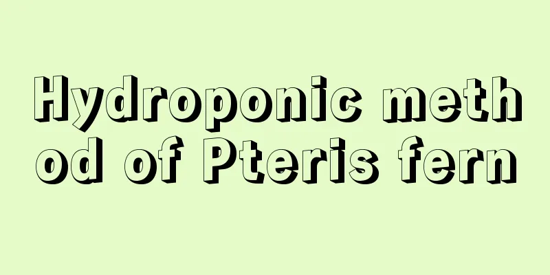 Hydroponic method of Pteris fern