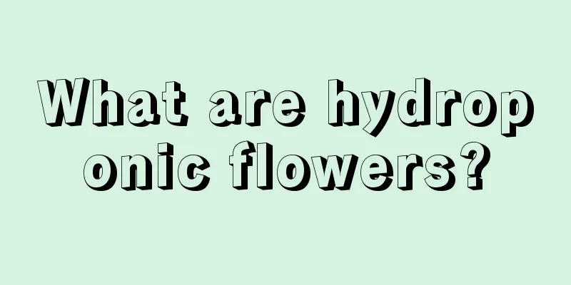 What are hydroponic flowers?