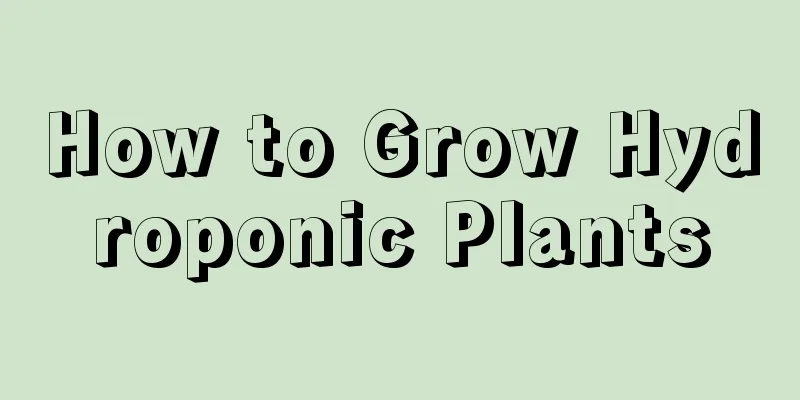 How to Grow Hydroponic Plants