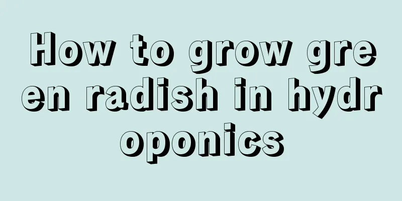 How to grow green radish in hydroponics