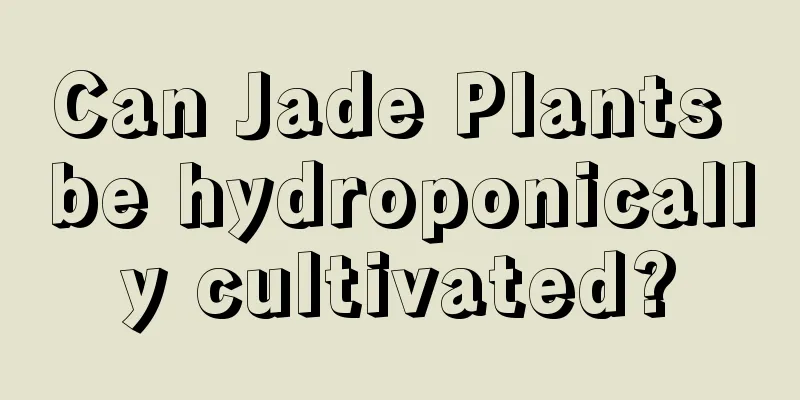 Can Jade Plants be hydroponically cultivated?